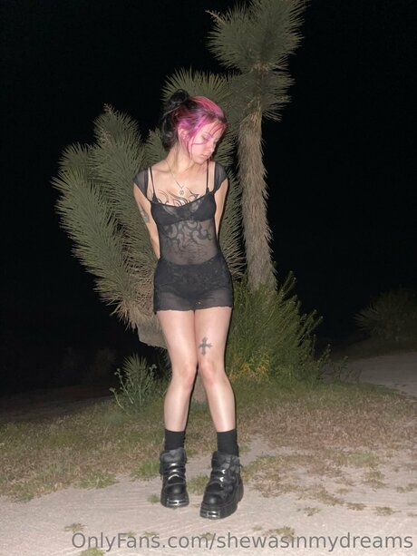 Shewasinmydreams 裸のポルノスター 画像