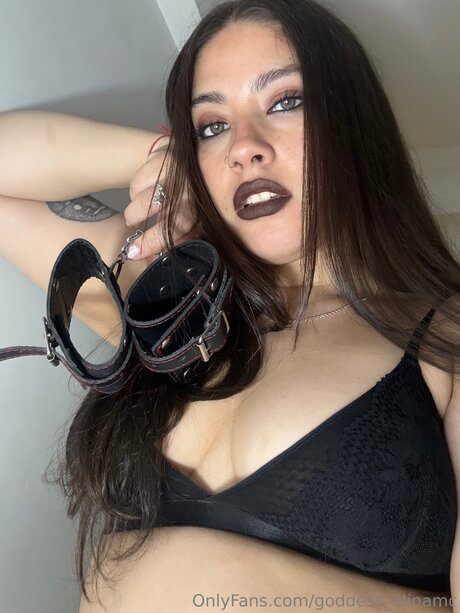 Goddess Alinamc 限定モデル 写真