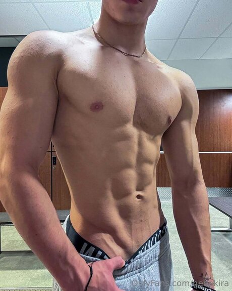 Neoakira HDモデル 画像