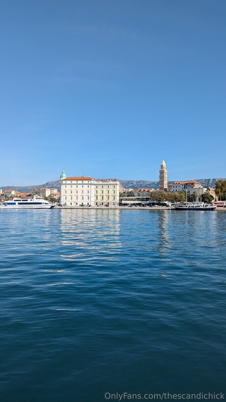 Thescandichick ホットスター ギャラリー