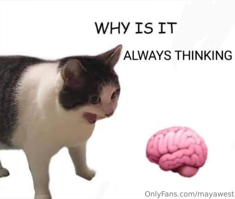 Mayawestfree ポルノモデル 画像