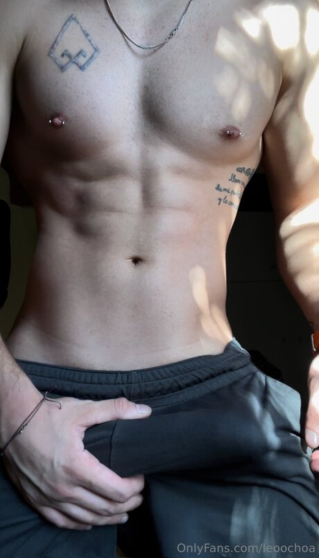 Leoochoa スター 画像