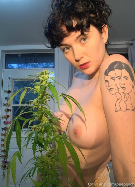 Peepeach セクシー女優 写真