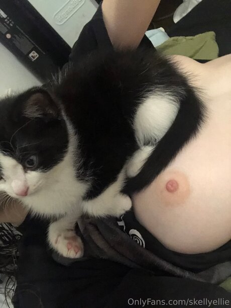 Skellyellie ポルノスター HD 画像