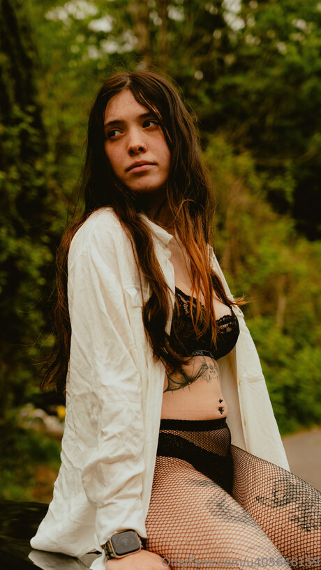 U405646159 ホットスター 画像