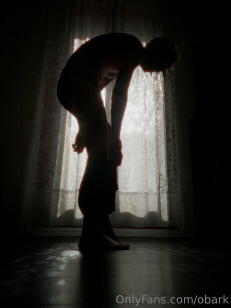 Obark ホットモデル 写真