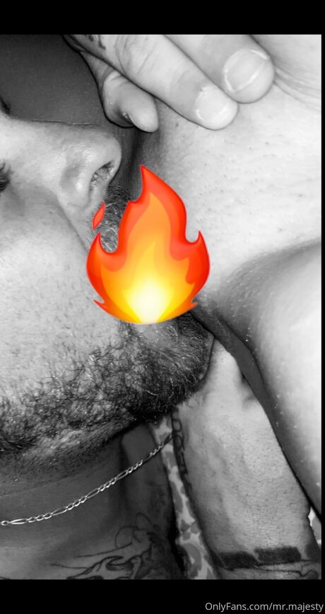 Mr Majesty ポルノスター 高品質 写真