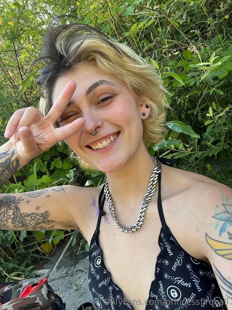 Princessfireball HDモデル アーカイブ