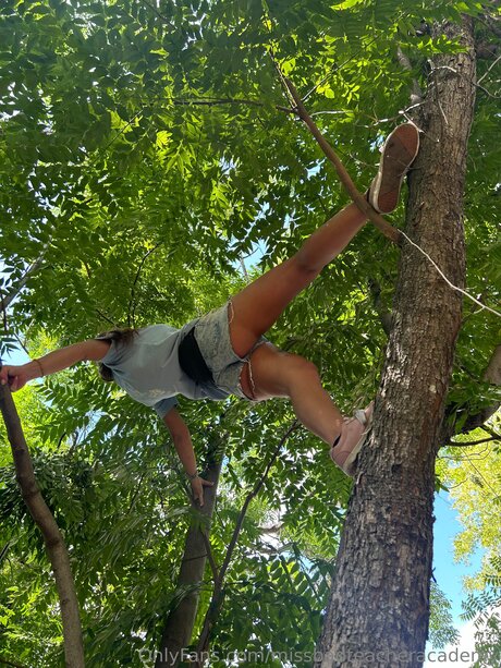 Missbadteacheracademy ポルノスター 高品質 ギャラリー