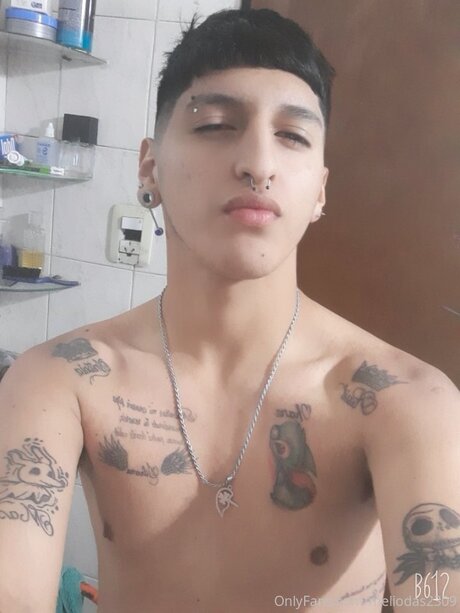 Meliodas2309 アートスター 画像