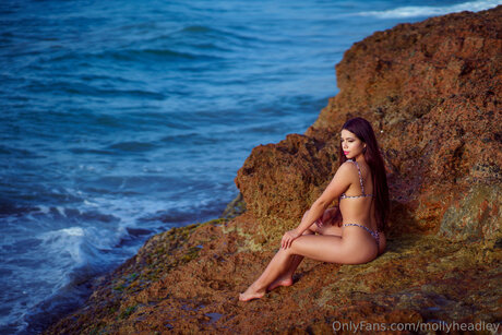 Mollyheadley 完璧なポルノスター ギャラリー