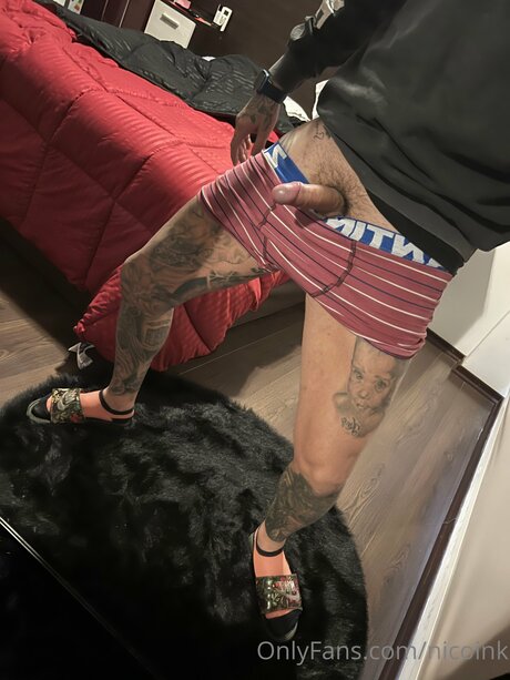 Nicoink ポルノスター セックス 画像