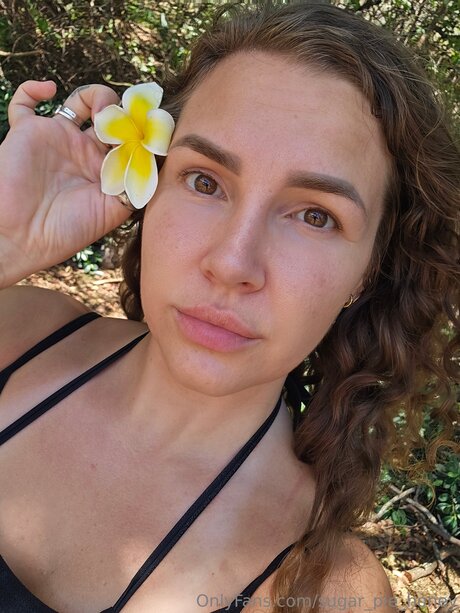 Sugar Pie Honey ポルノスター 写真