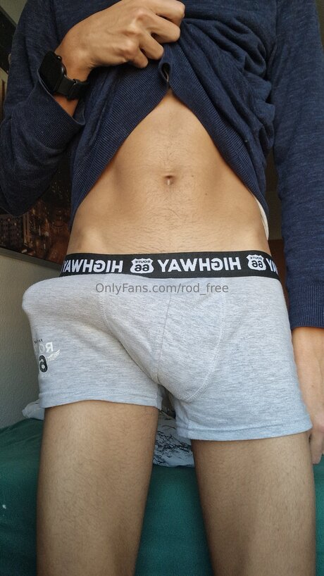 Rod Free かわいいスター 写真