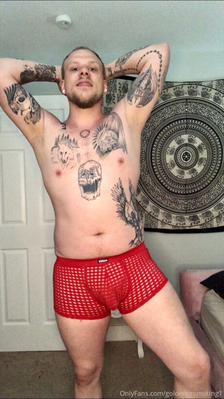 Goldenpromoting1 HDモデル 画像