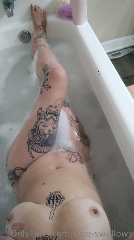 Rose Swallows xxxスター 写真