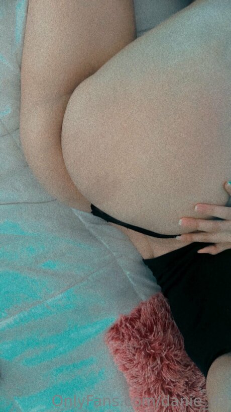 Danie D3 美しいスター ギャラリー