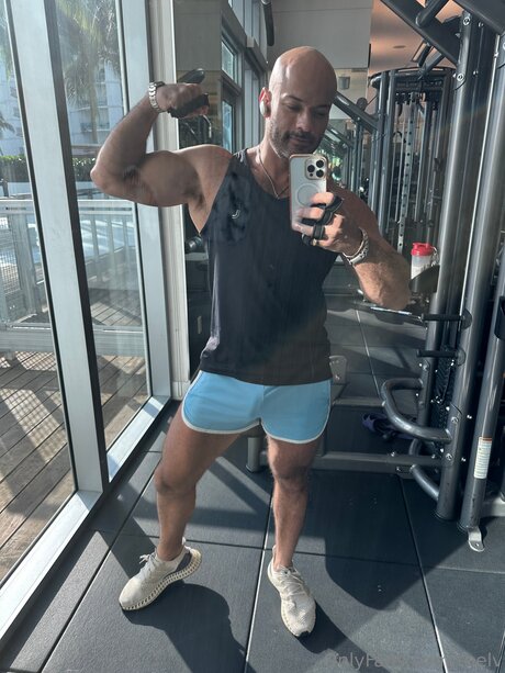 Thelv トップスター アーカイブ