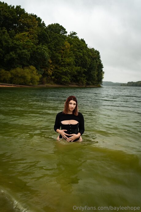 Bayleehope スター 写真