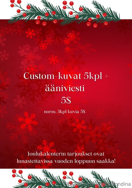 ビキニストリップOnlyFans セクシー ギャラリー