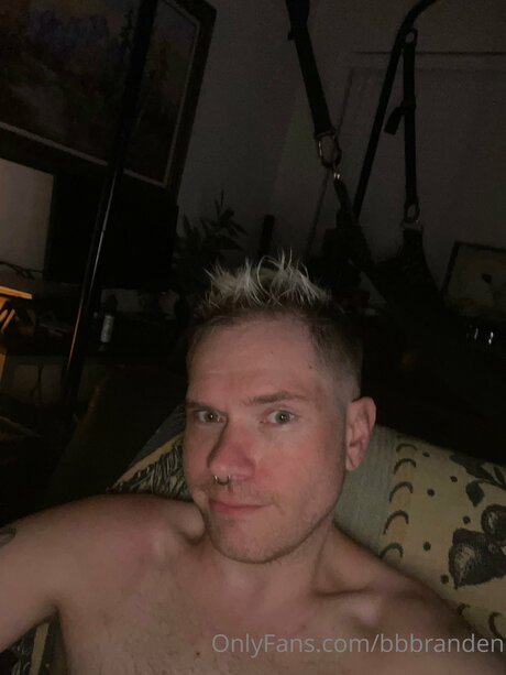 Bbbranden 高品質のスター ギャラリー