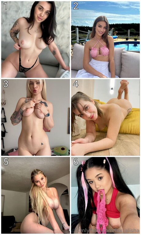 Fox Alisha かわいいスター ギャラリー