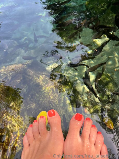 DMV オンリーファン 素敵 写真