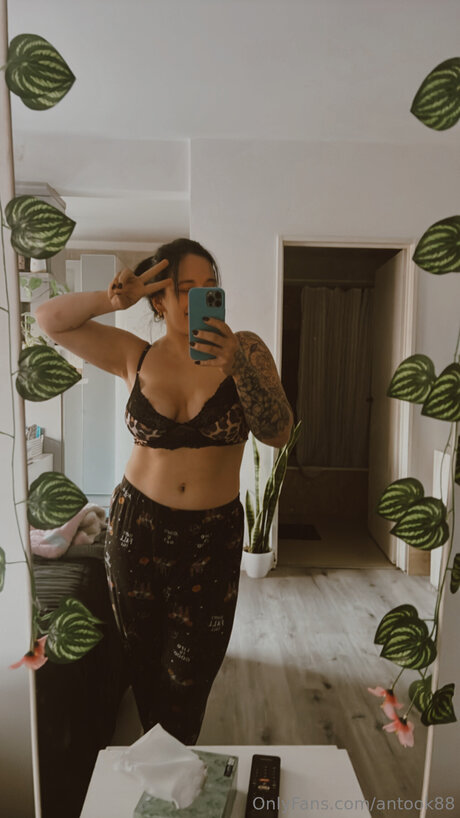 Antook88 無料のポルノスター アーカイブ