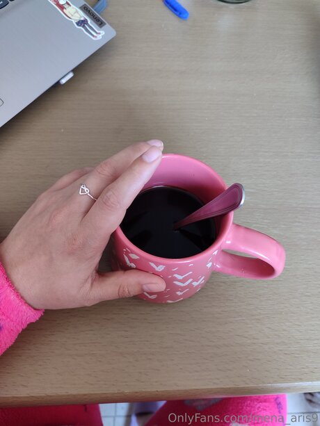 Mena Aris9 HD女優 写真