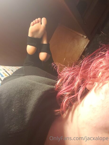 エボニートップオンリーファン トップ 画像