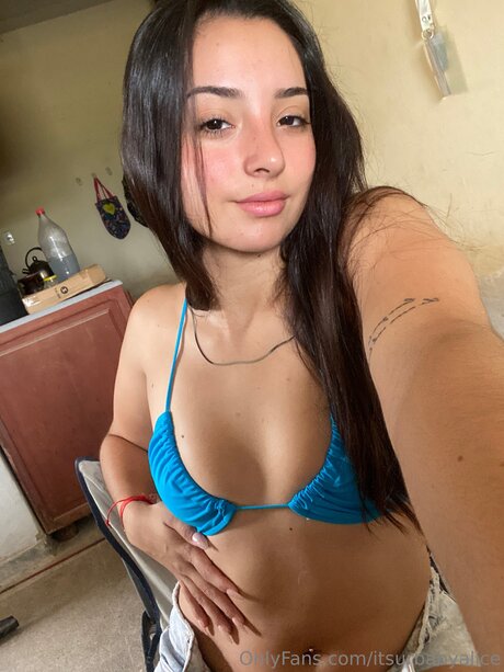 DMV オンリーファン 素敵 ギャラリー