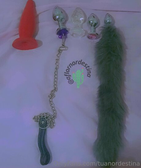 Tuanordestina スターセックス 写真