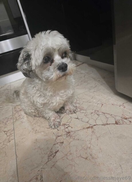 Jessiejaye69 ポルノスター 写真