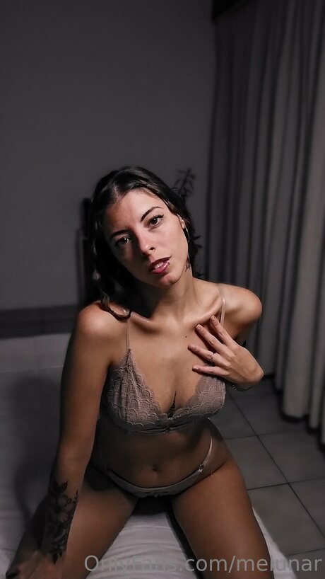 Melunar HDスター 写真