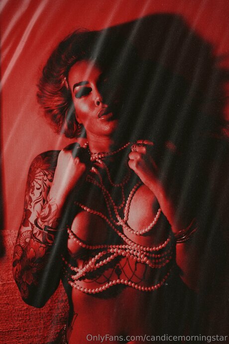 Candicemorningstar 可愛いモデル 写真