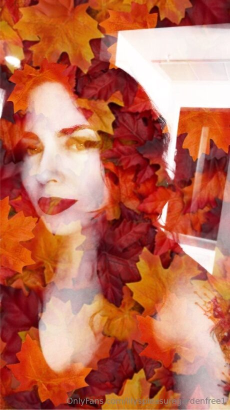 Lilyspleasuregardenfree1 アート女優 画像