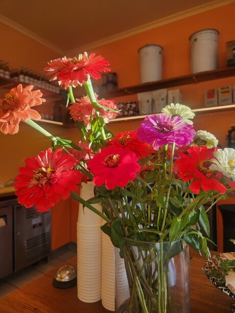 毛深いBBW OnlyFans ポルノ 写真