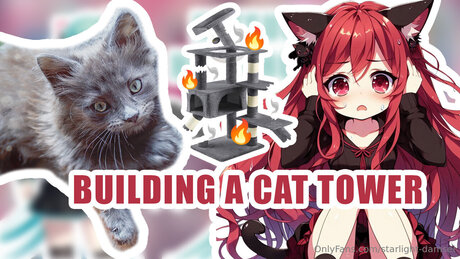 Starlight Damsel 最高の女優 ギャラリー