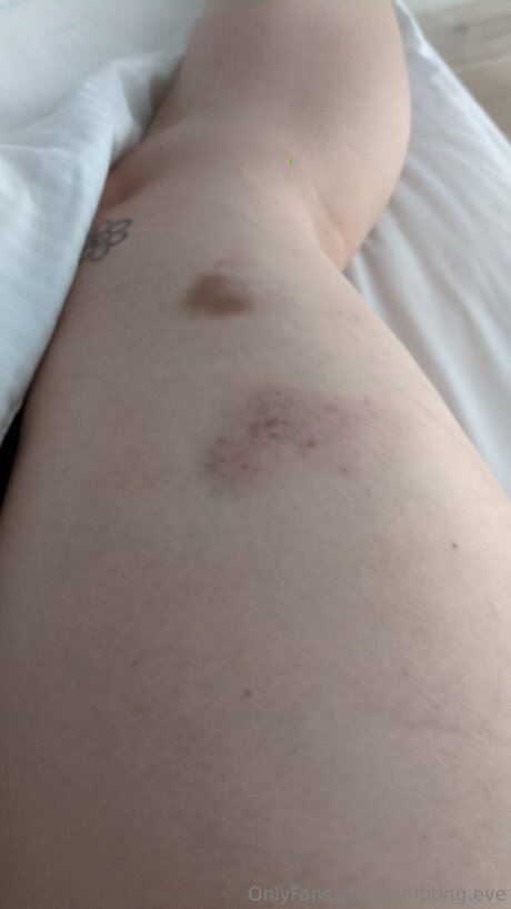 Tempting Eve トップスター ギャラリー