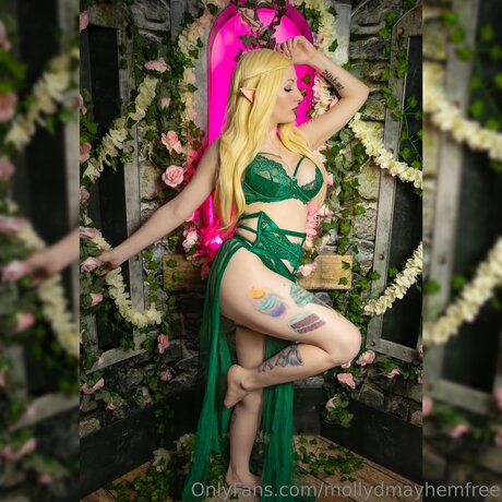 Mollydmayhemfree 限定モデル 写真