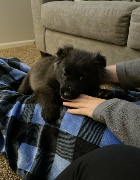 Summerreese ヌードモデル ギャラリー