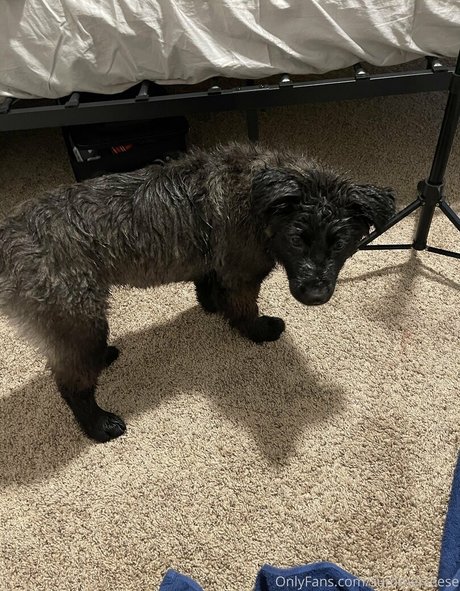 プリンセスアジアンOnlyFans ベスト 写真