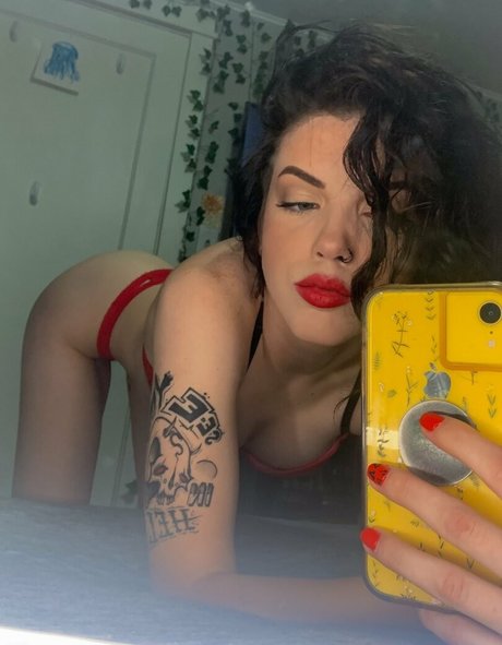 Addi 素敵なスター 写真