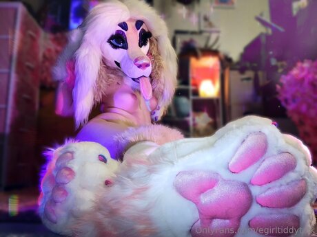 Egirltiddytalk アダルトスター 写真