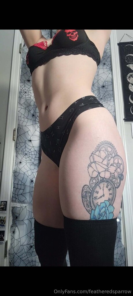 Featheredsparrow 最高のポルノスター 画像