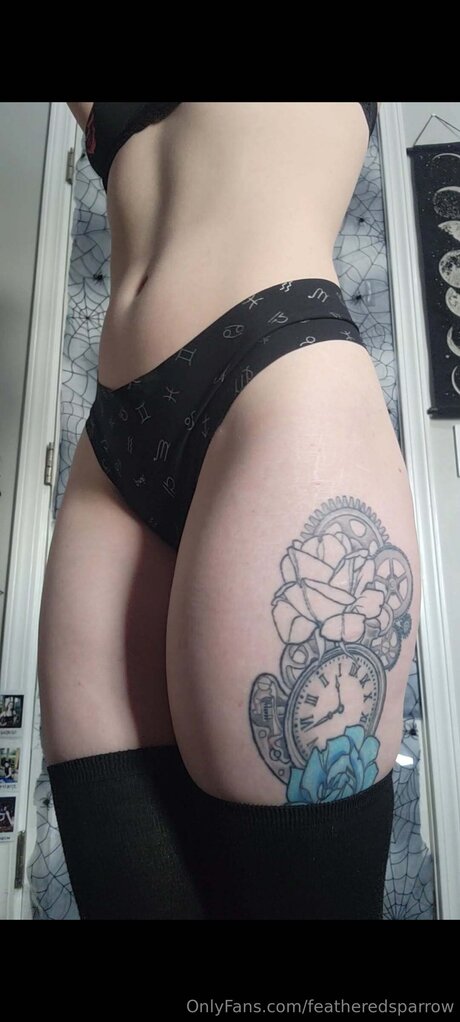 Featheredsparrow top profile image