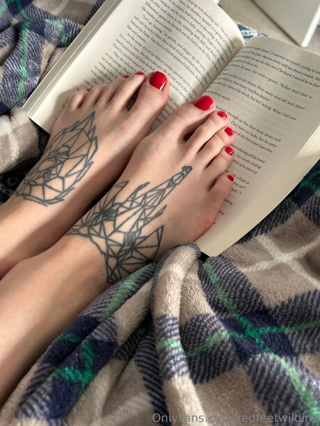 Redfeetwildink アートスター 画像