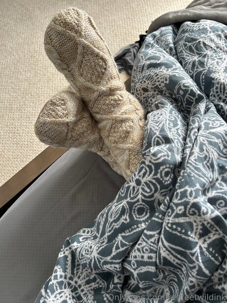 Redfeetwildink ポルノスター セックス 写真