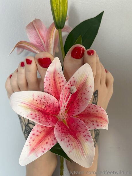 Redfeetwildink HD女優 写真