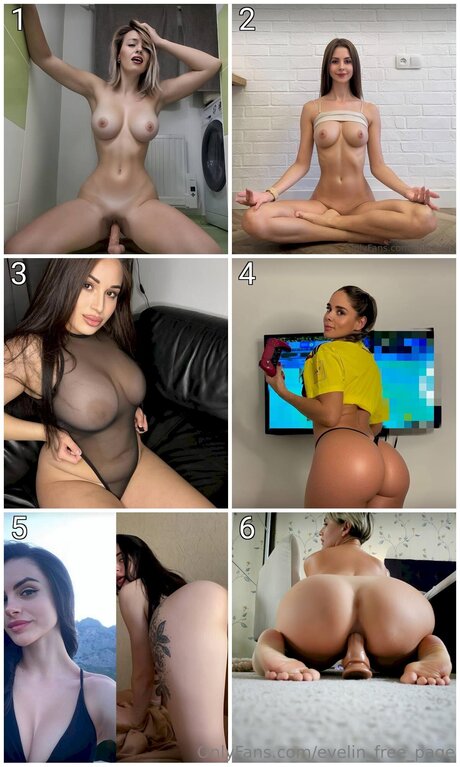 Evelin Free Page ヌードスター ギャラリー